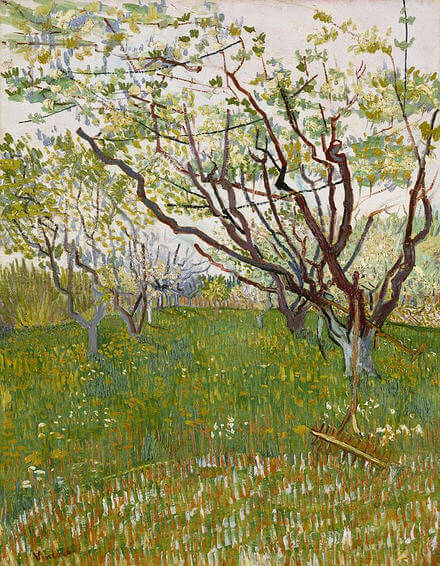 Vincent-van-Gogh-kiraz-agaci