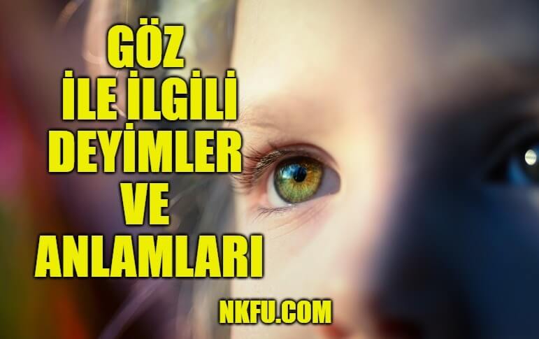 Goz Ile Ilgili Deyimler Ve Anlamlari Aciklamalari Icinde Goz Gecen Deyim