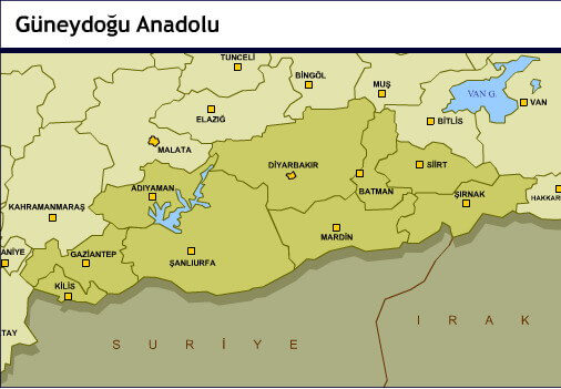 Güneydoğu Anadolu Bölgesi Özellikleri - Yer Şekilleri ve İklim, Bitki