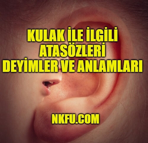 Kulak İle İlgili Atasözleri ve Deyimler - Anlamları