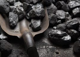 Kömür Oluşum Aşamaları Nelerdir? Kömür Nasıl Oluşur, Hakkında Bilgi