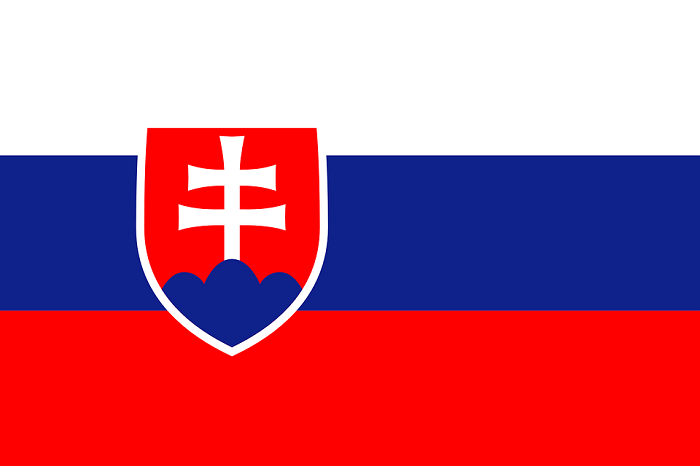 slovakya bayrağı