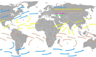 Batı rüzgârları (mavi oklar) ve ticaret rüzgârları (sarı ve kahverengi oklar)
