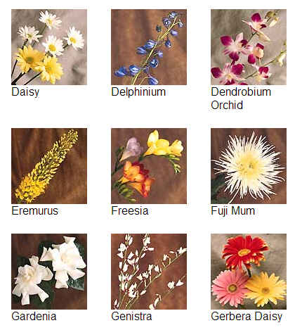 Resimli İngilizce Çiçekler