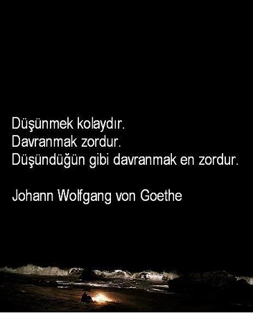 Goethe Resimli Sözleri