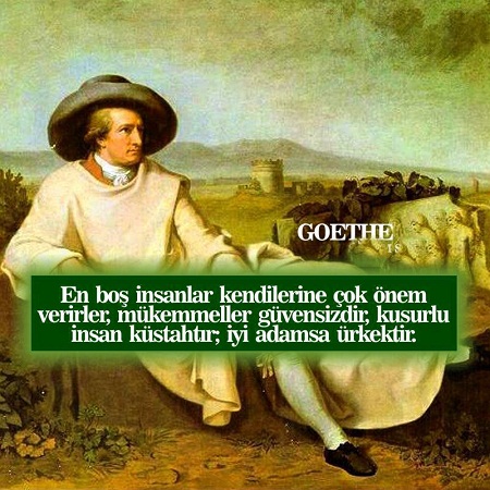 Goethe Resimli Sözleri