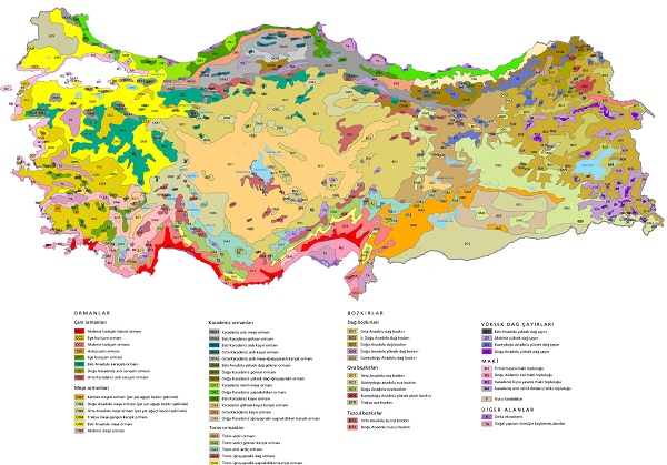 Türkiye Bitki Örtüsü Haritası