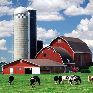 Wisconsin Eyaletinde Bir Çiftlik