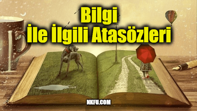 bilgi bilmek ile ilgili atasozleri ve anlamlari aciklamalari bilgi sozleri