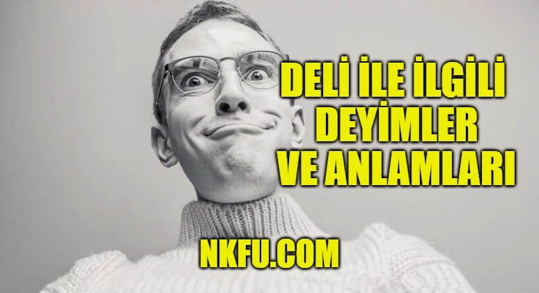 Deli İle İlgili Deyimler ve Anlamları