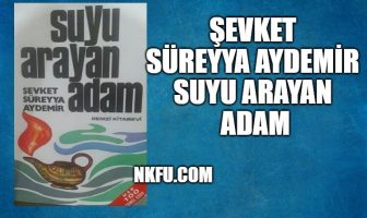 Suyu Arayan Adam Kitap Özeti – Şevket Süreyya Aydemir