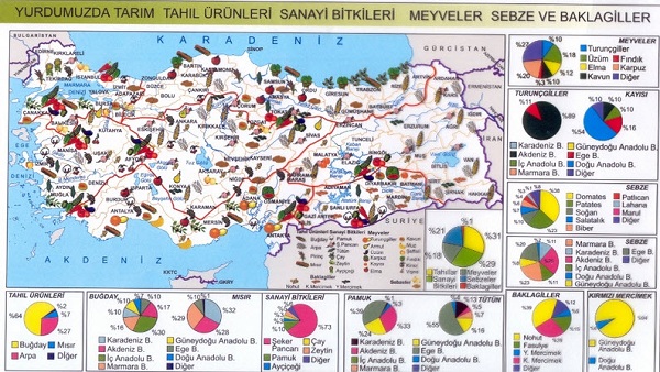 Türkiye Tarım Haritası
