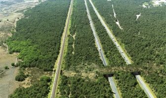 ecoduct