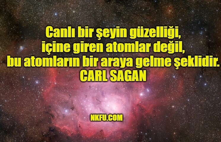 Carl Sagan Sözleri