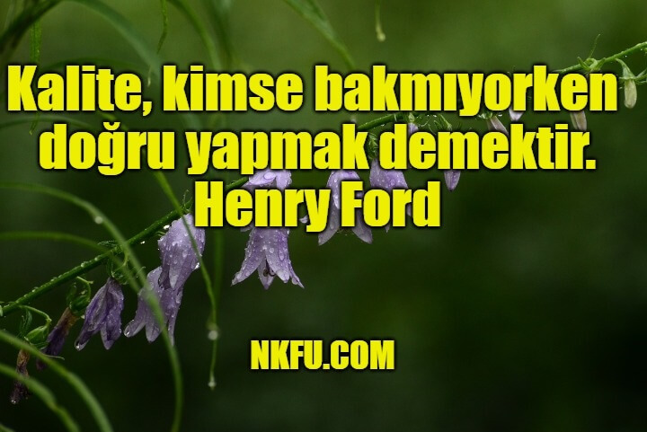 Henry Ford Sözleri