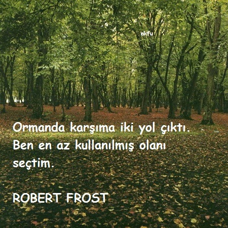Robert Frost Sözleri