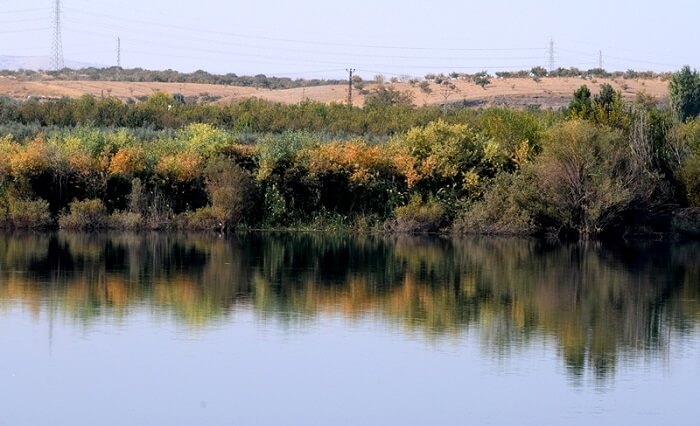 Fırat Nehri