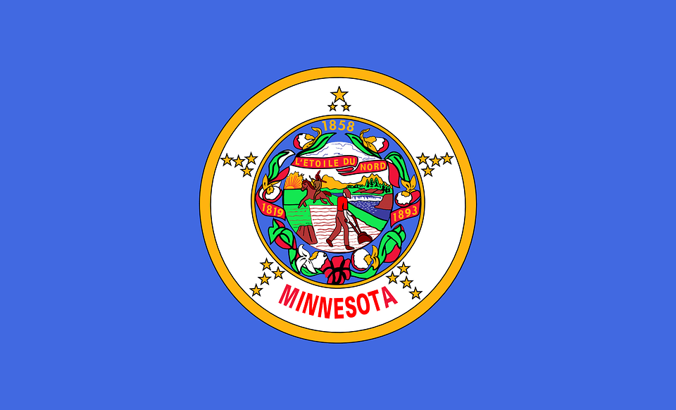 Minnesota Eyalet Bayrağı