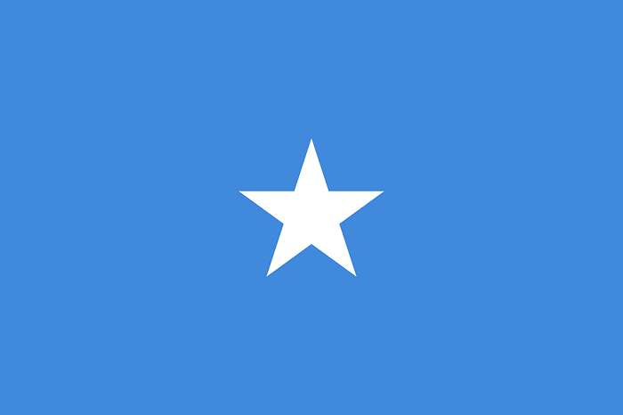 somali bayrağı