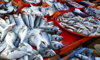 Balık Alırken Nelere Dikkat Etmek Gerekir? (Taze Balık Nasıl Anlaşılır?)