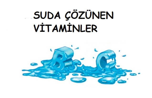 suda çözünen vitaminler