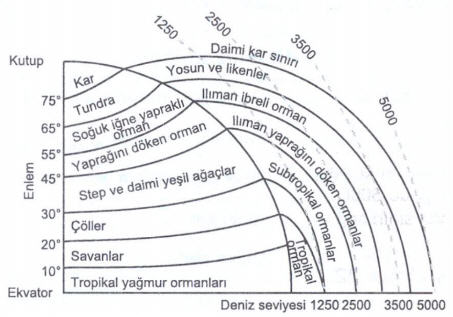 bitki-ortusu-yukseklik