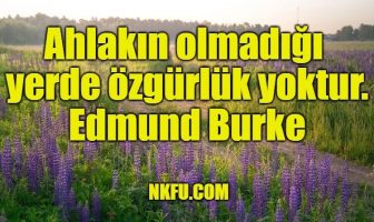 Edmund Burke Sözleri