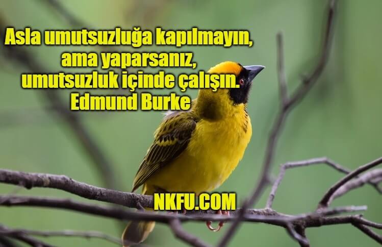 Edmund Burke Sözleri