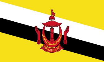 brunei bayrağı
