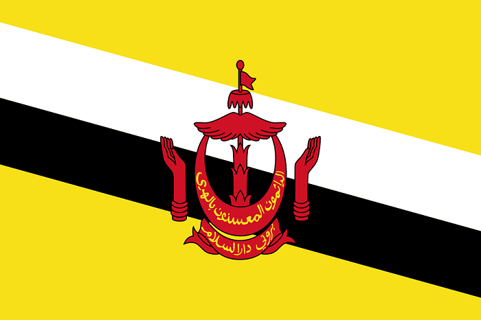 brunei bayrağı
