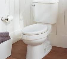 alafranga tuvalet