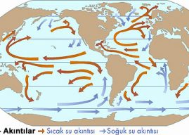 Deniz Akıntılarının Sıcaklık Dağılışı Üzerindeki Etkileri Nelerdir?