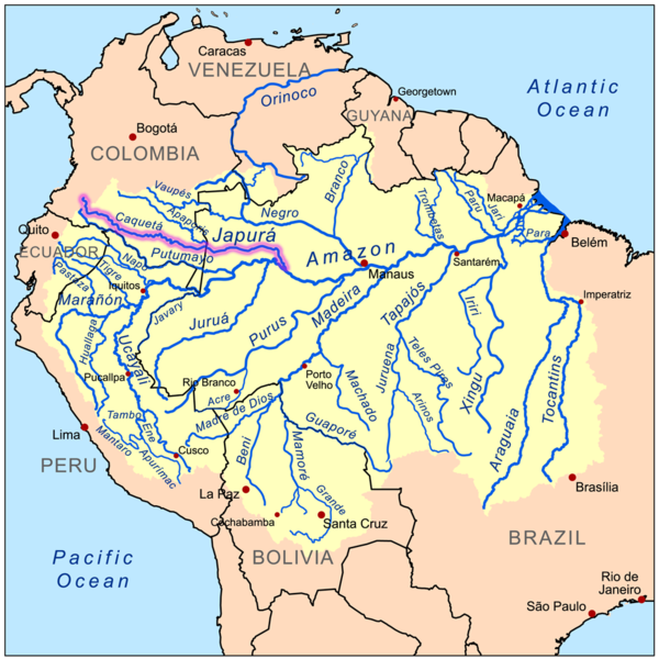 Caqueta Irmağı (Japura Nehri)