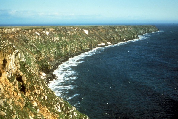 Nunivak Adası