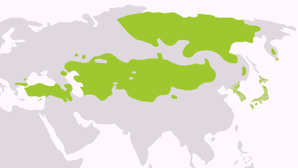 Altay Dilleri Haritası