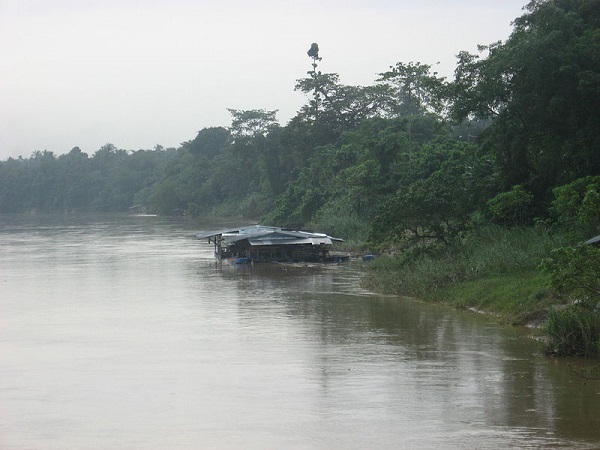 Pahang Irmağı