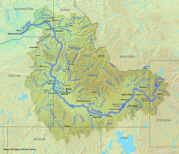 Snake Nehri Haritası