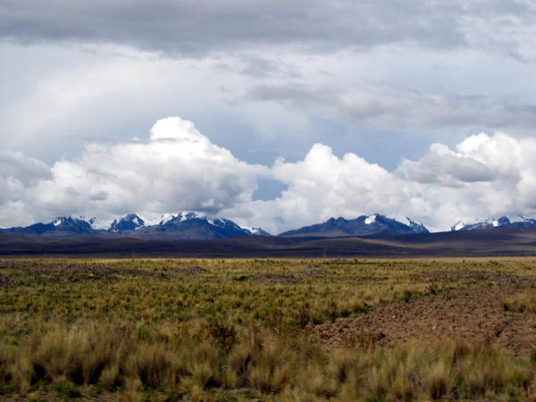 Altiplano Yaylası