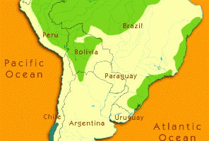 Güney Amerika Yağmur Ormanları Harita