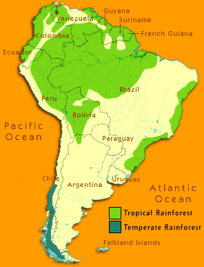 Güney Amerika Yağmur Ormanları Harita
