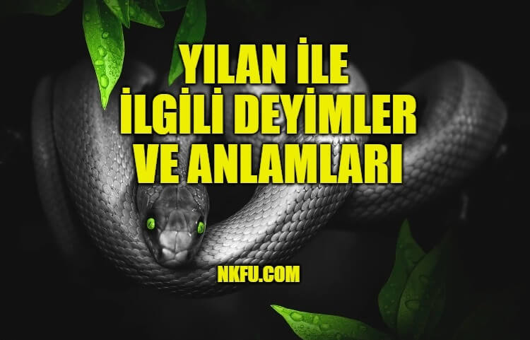 yılan ile ilgili deyimler