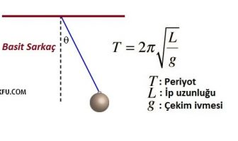 Basit Sarkacın Formülü