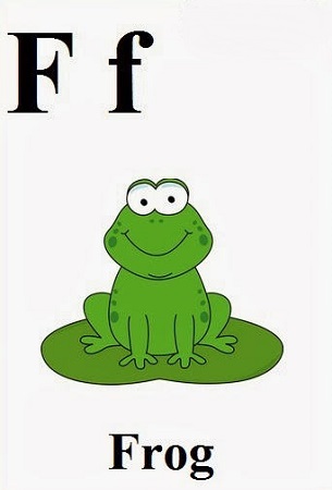 Английские слова лягушка. Лягушка на английском. Карточки по английскому жаба. Слово Frog. Frog карточка на английском.