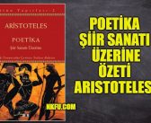 Poetika Şiir Sanatı Üzerine (Aristoteles) Konusu, Özeti, İncelemesi