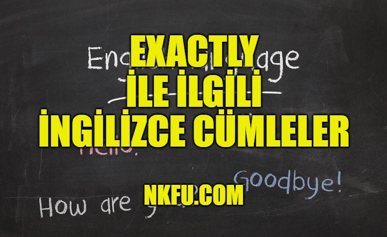 Exactly İle İlgili İngilizce Cümleler