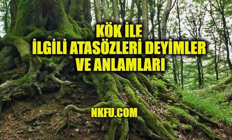 Kök İle İlgili Deyimler Atasözleri