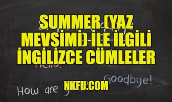 Summer (Yaz Mevsimi) İle İlgili İngilizce Cümleler