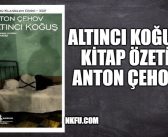 Altıncı Koğuş (Altı Nolu Koğuş) Kitap Özeti, Konusu, Karakterler – Anton Çehov