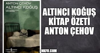 Altıncı Koğuş (Altı Nolu Koğuş) Kitap Özeti, Konusu, Karakterler – Anton Çehov