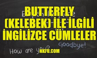 Butterfly (Kelebek) İle İlgili İngilizce Cümleler